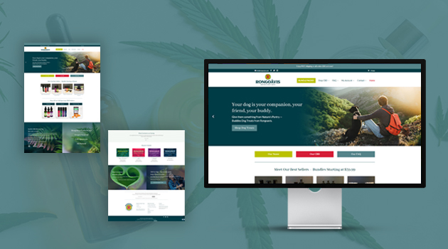 Website Design & Development